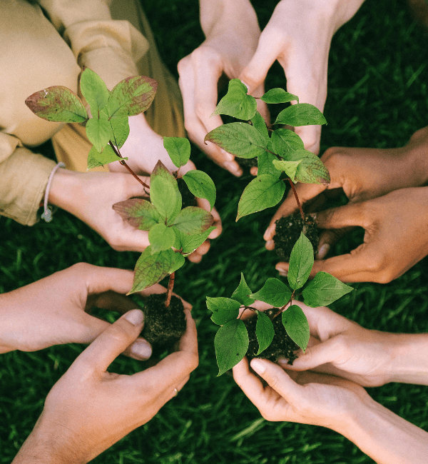 Sustainable Textile Solutions