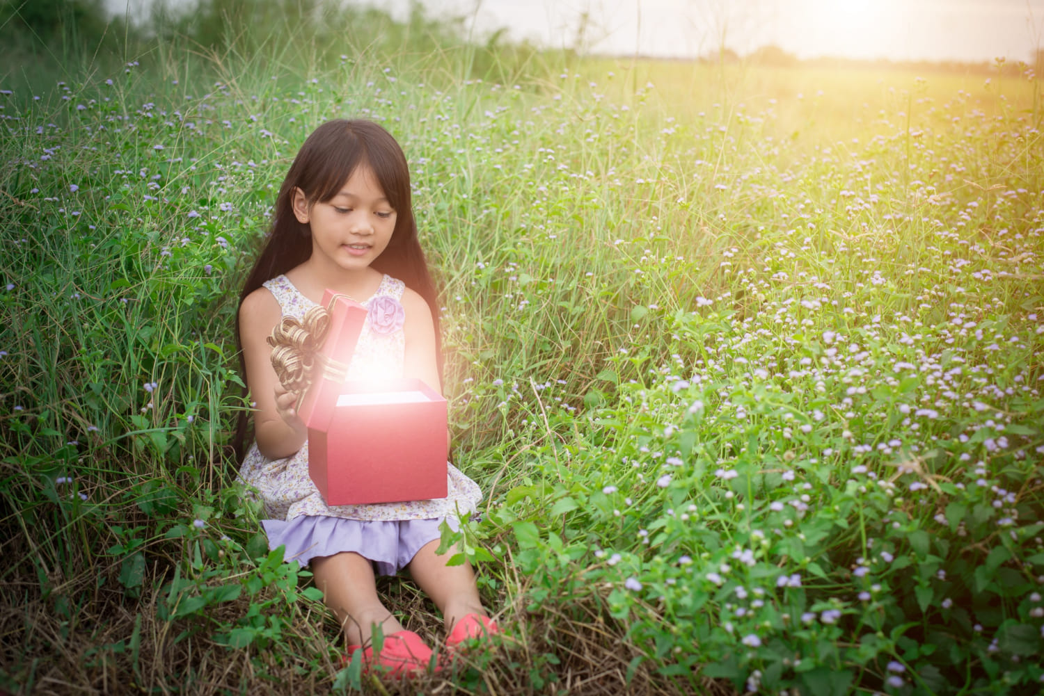 Sustainable Textile Industries & Applications